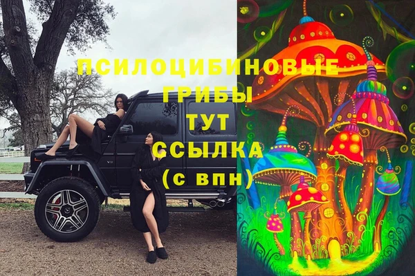 трава Верхний Тагил
