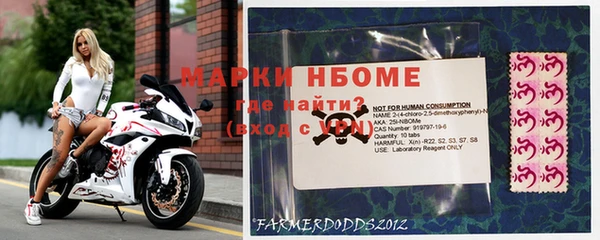 гидра Бородино