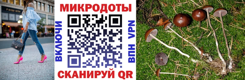 цена   Южноуральск  Псилоцибиновые грибы мухоморы 